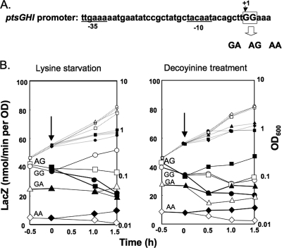 FIG. 4.