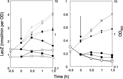 FIG. 8.