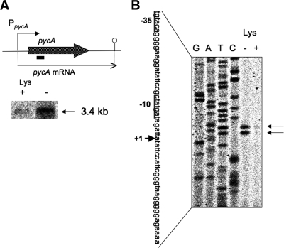 FIG. 7.