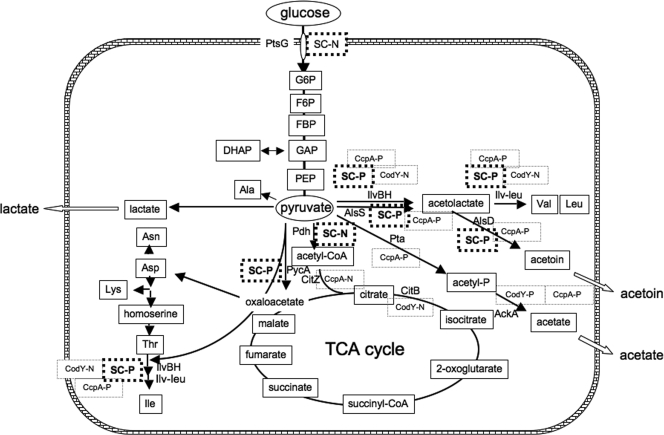 FIG. 1.