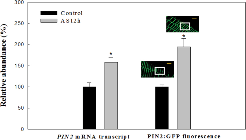 Fig. 3. 