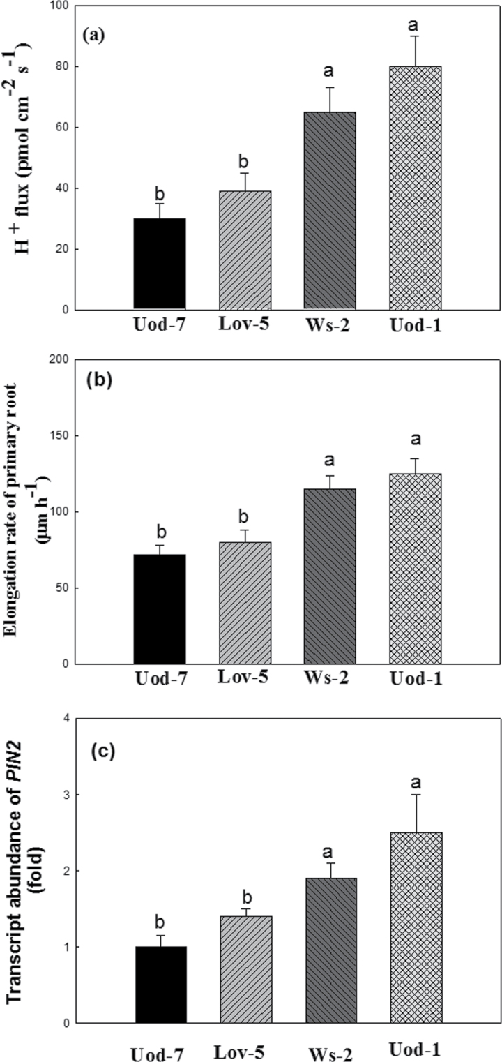 Fig. 6. 