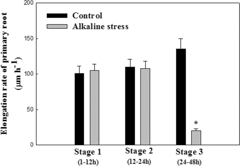 Fig. 1. 