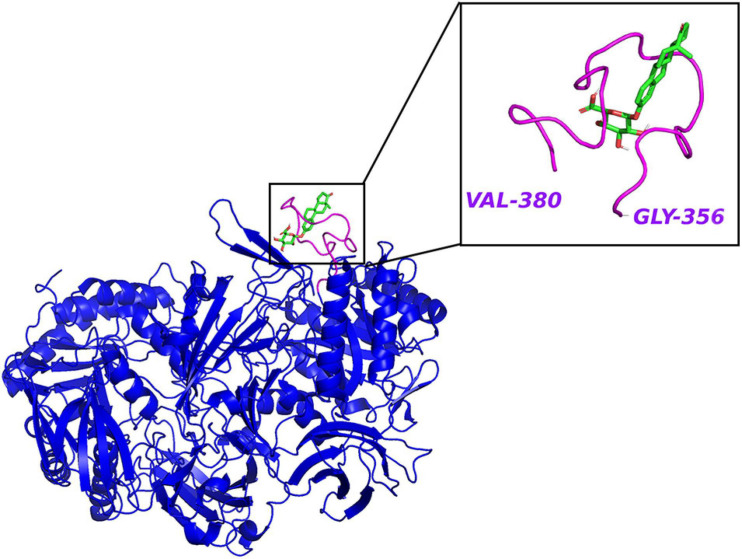 FIGURE 3