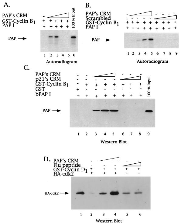 FIG. 6