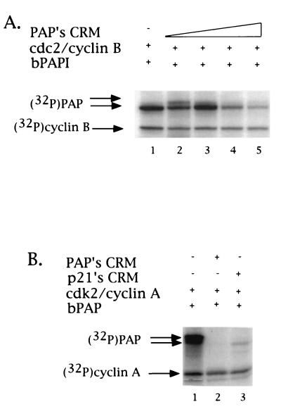 FIG. 8