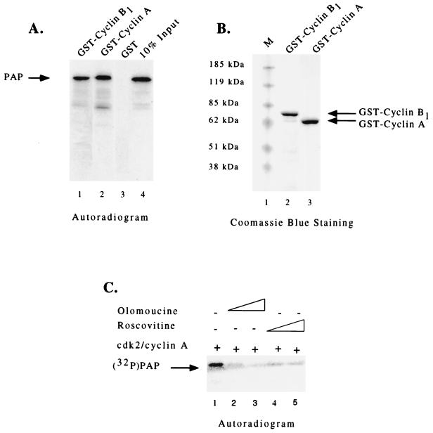 FIG. 5