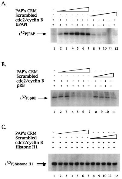 FIG. 7