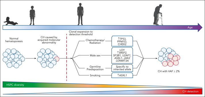 Figure 2.
