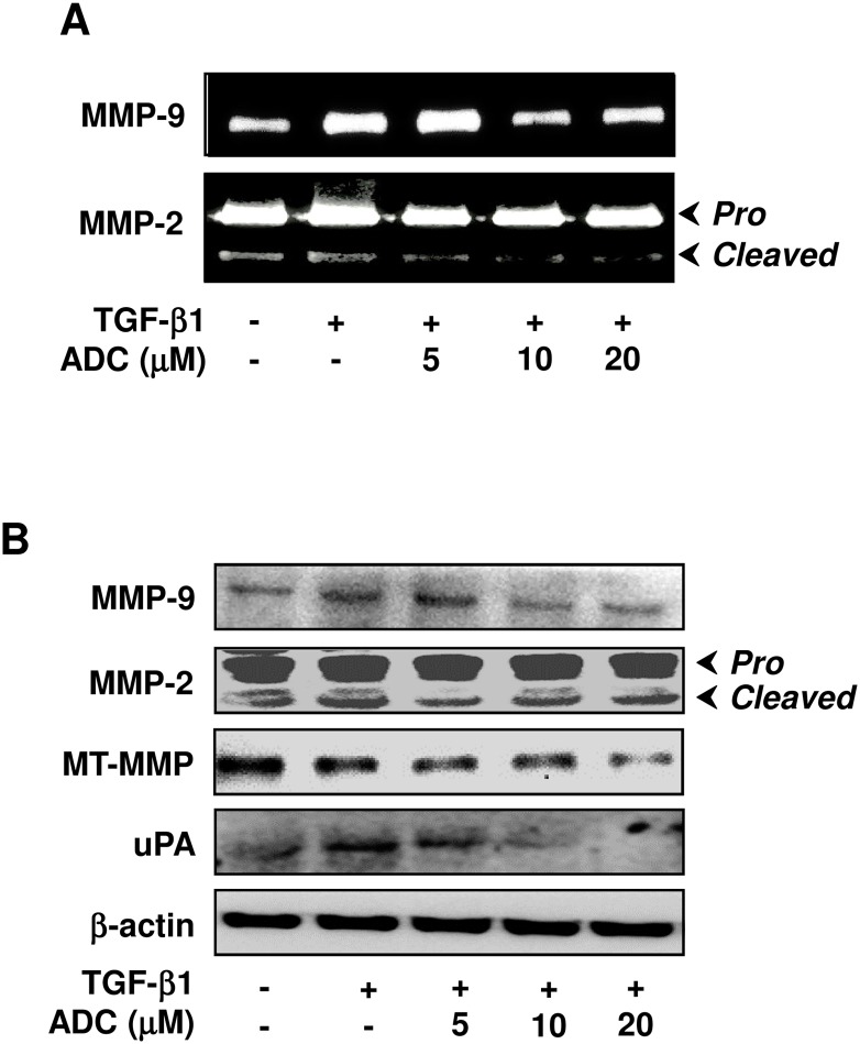 Fig 6