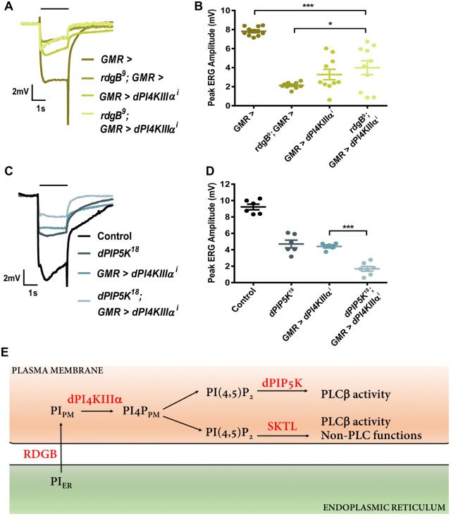 Fig. 7.