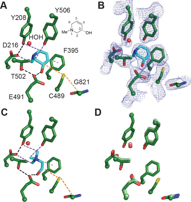 Figure 4