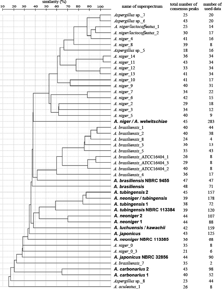 Fig. 3 -Dendrogram of Aspergillus sect. Nigri constructed from the supplier’s and newly constructed superspectra library by the SARAMIS using single-linkage agglomerative cluster analysis. The scale bar above indicates the similarity (%). The superspectra newly constructed in the present study in bold, those provided by the supplier are shown in regular font.