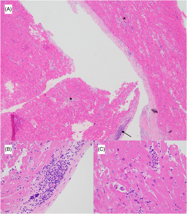 FIGURE 2