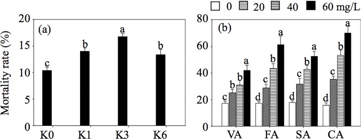 Fig 5