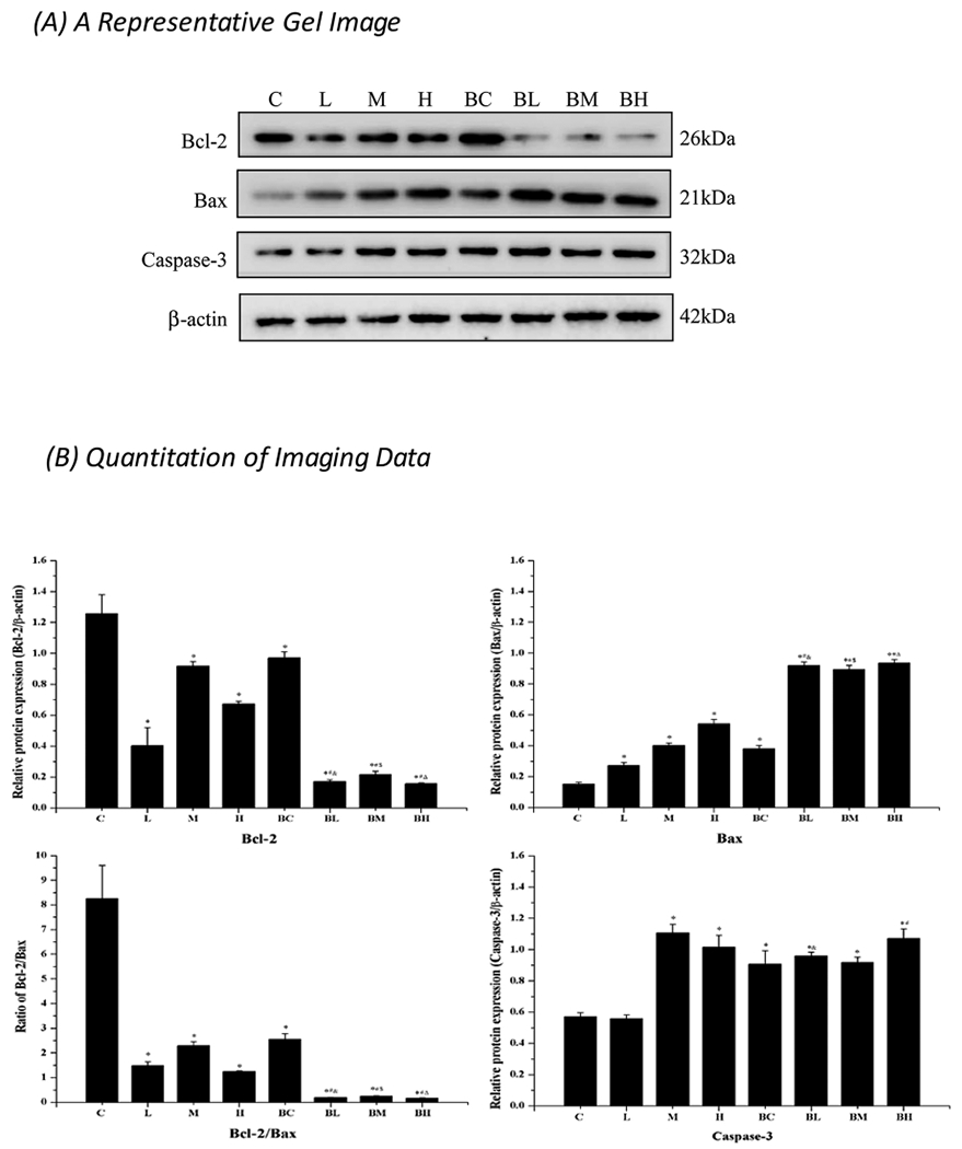 Fig. 9.