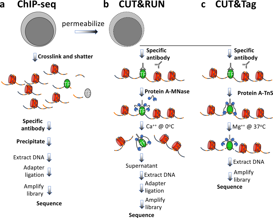 Figure 1 |