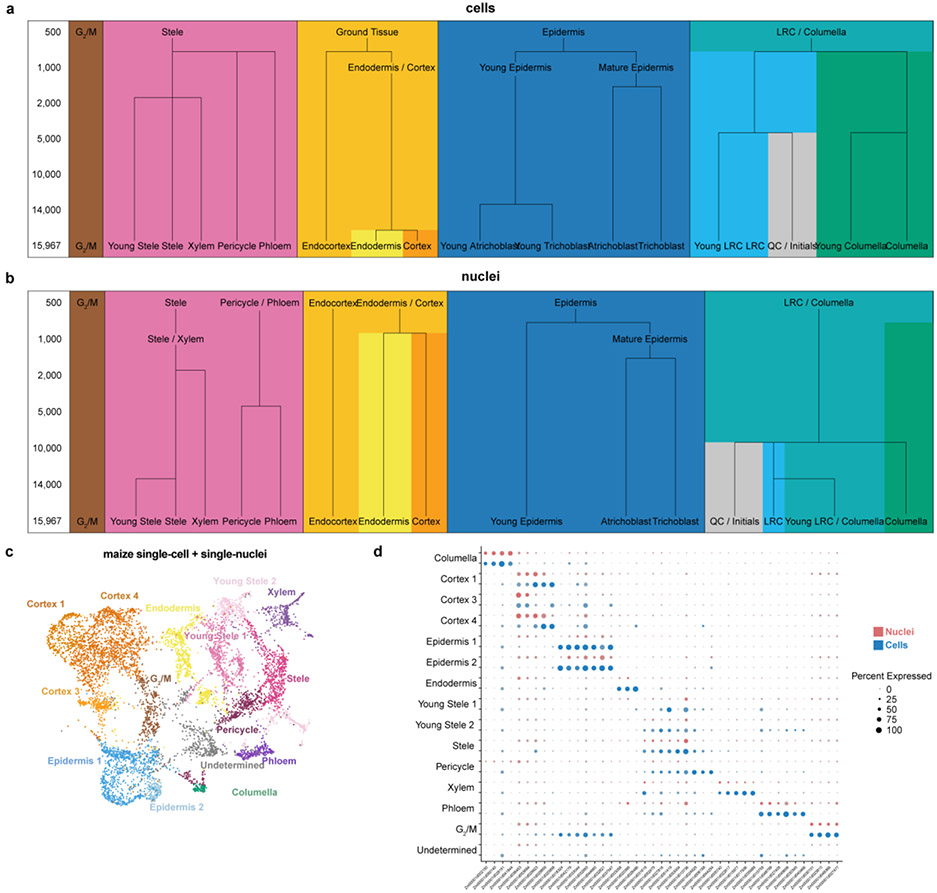 Extended Data Fig. 3: