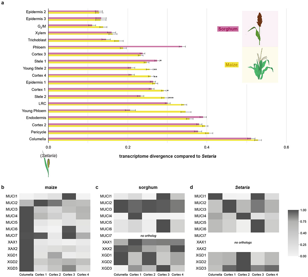 Fig. 4: