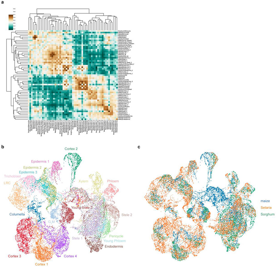 Extended Data Fig. 6: