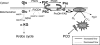 FIGURE 10.