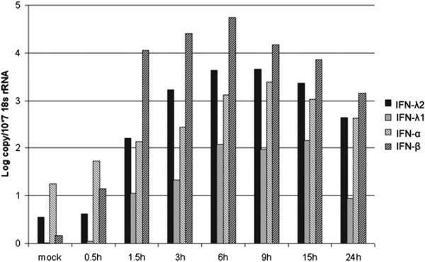 FIGURE 3