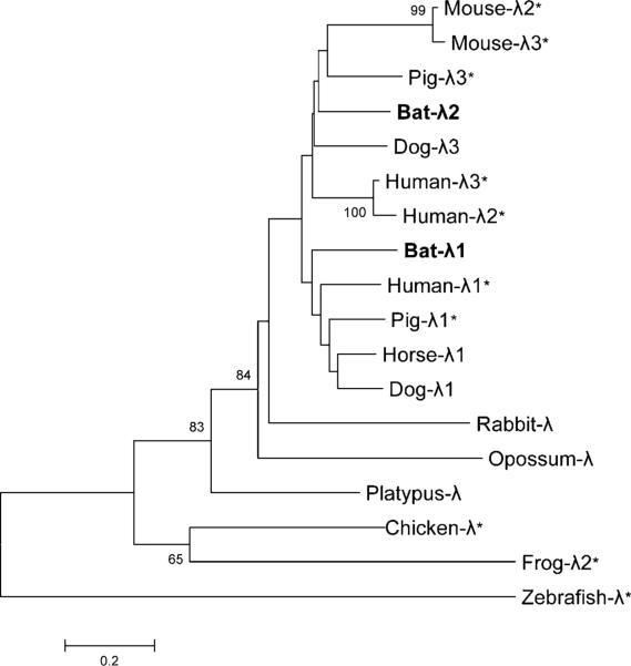 FIGURE 2