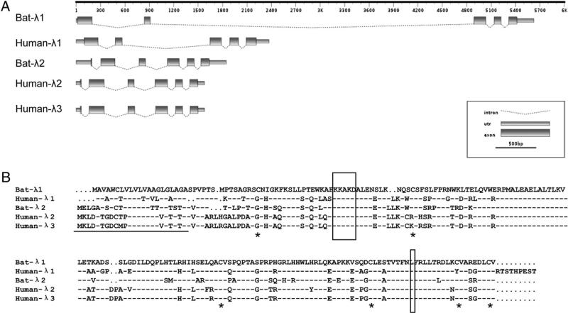 FIGURE 1