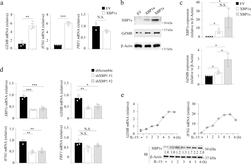 Fig. 2: