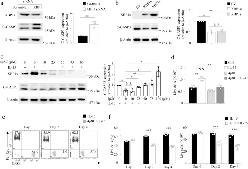 Fig. 4: