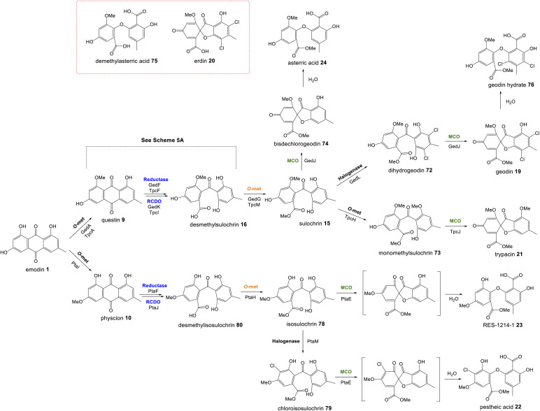 Scheme 13