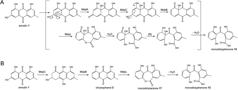 Scheme 3