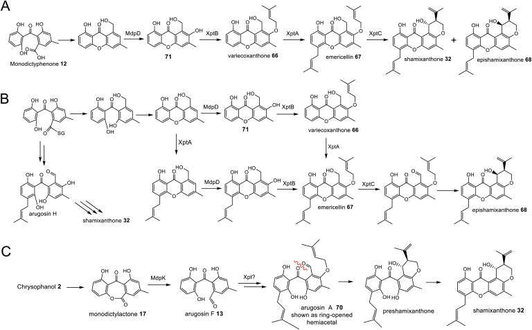 Scheme 12