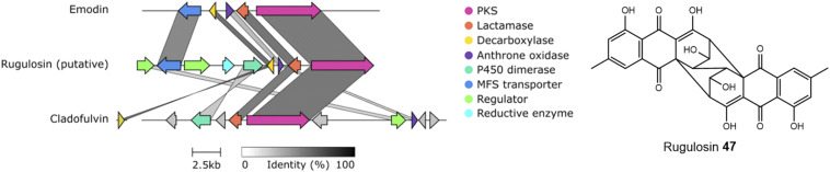 Fig. 4