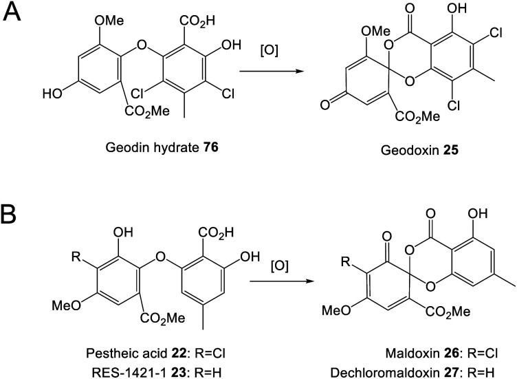 Scheme 15