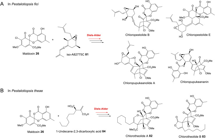 Scheme 16