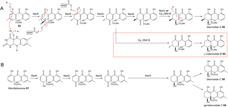 Scheme 9