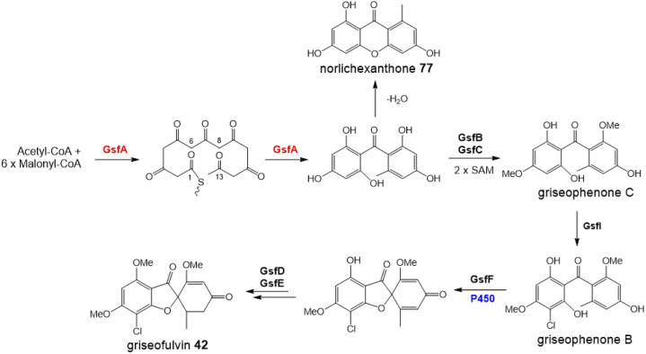 Scheme 14