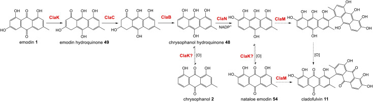 Scheme 7