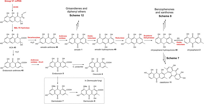 Scheme 2