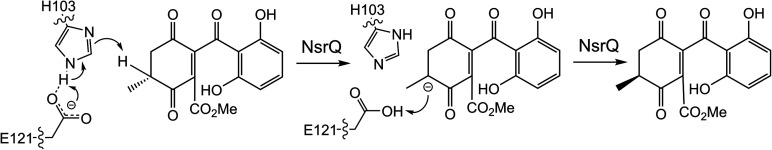 Scheme 10