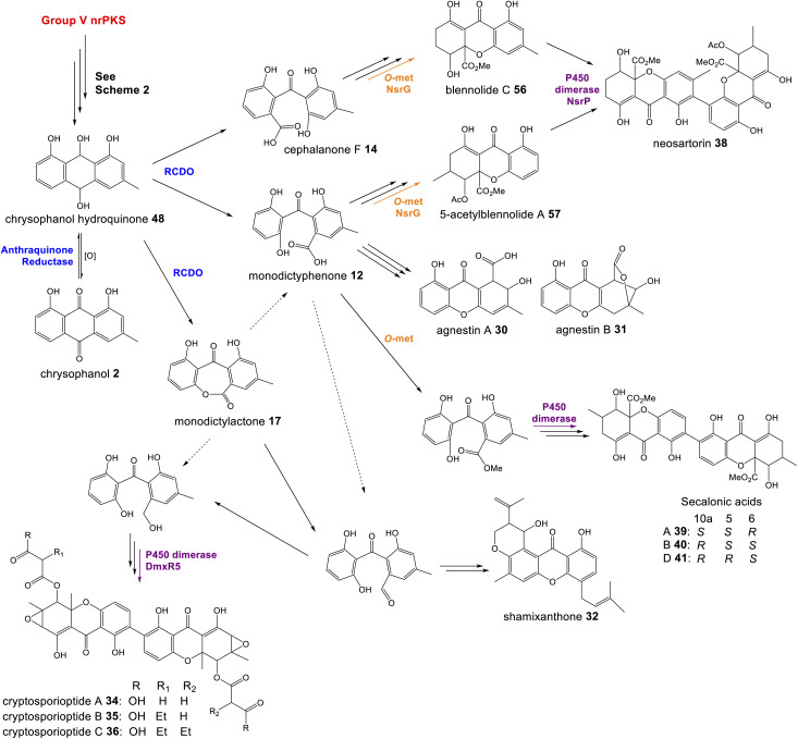 Scheme 8