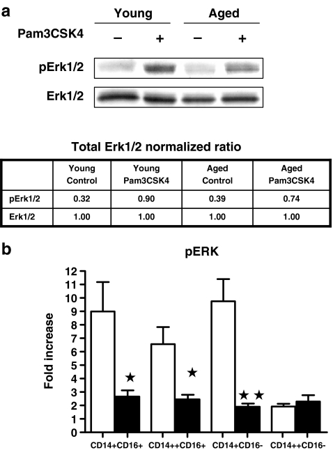 Fig. 4