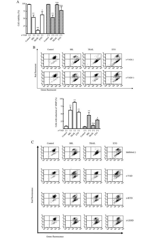 Figure 7.