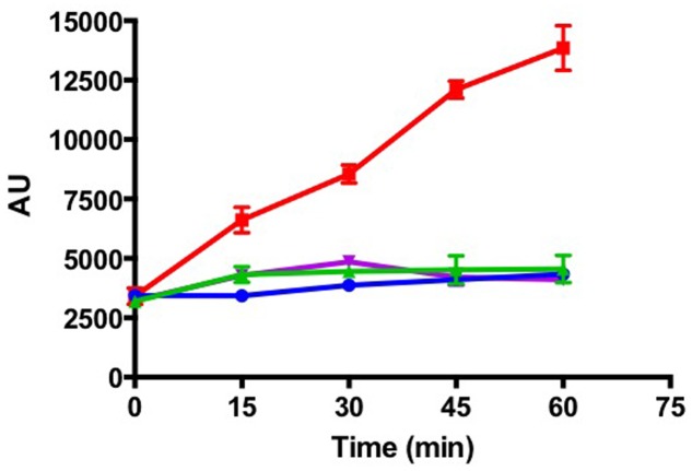 FIGURE 4