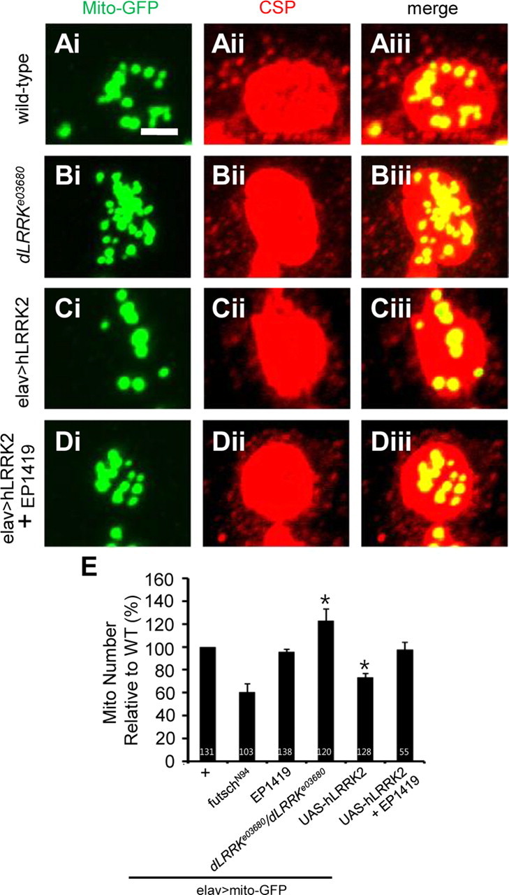 Figure 6.