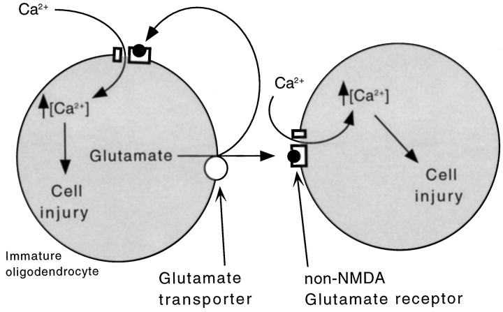 Fig. 10.