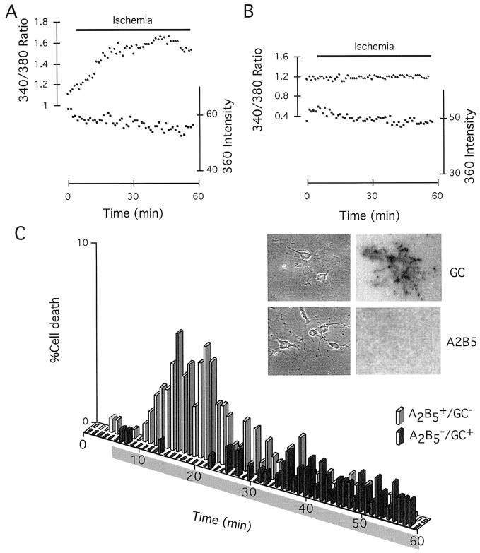 Fig. 9.