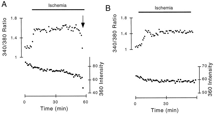 Fig. 8.