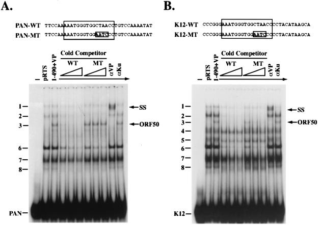 FIG. 7.